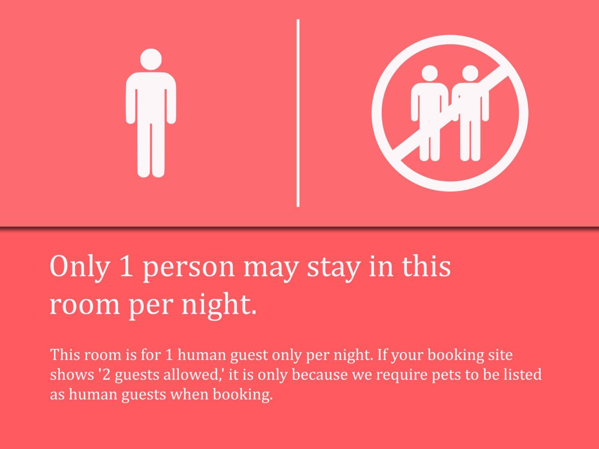 The Madison House Hostel *